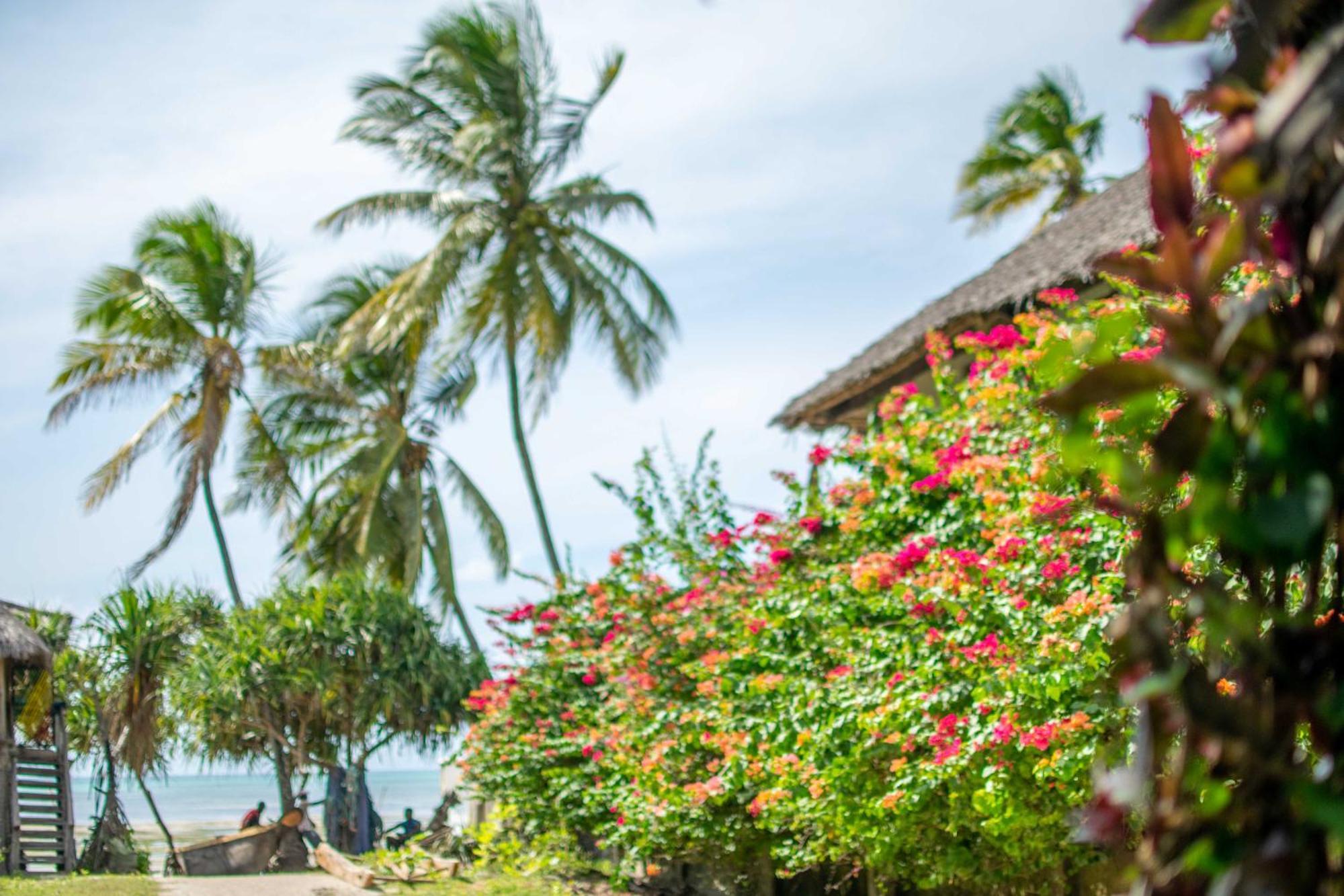 Beachfront Villa Ladha Ya Zanzibar Jambiani  Exterior photo